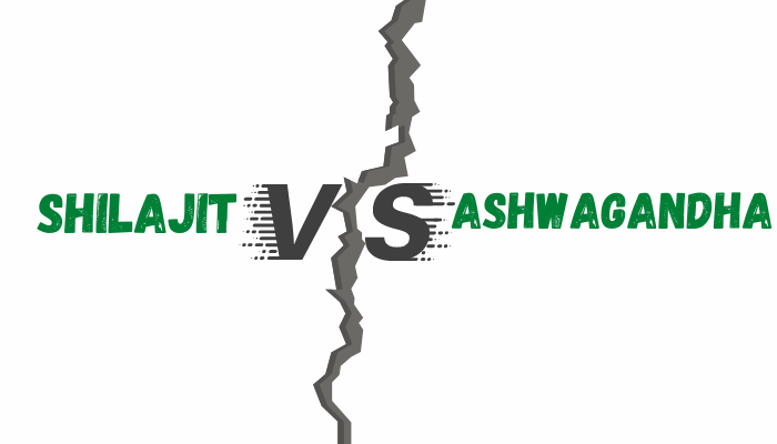 Shilajit vs. Ashwagandha (Differences, Combining, Benefits)