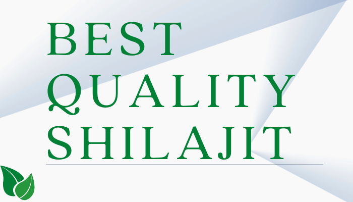 Best Quality Shilajit 2022 – Buying Guide & Reviews