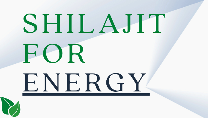 Best Shilajit For Energy 2022 | Energize Naturally