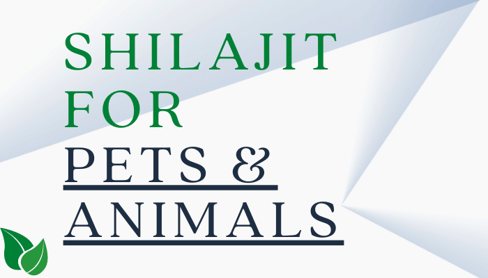 Best Shilajit For Pets & Animals | Dogs, Cats, Horses & More
