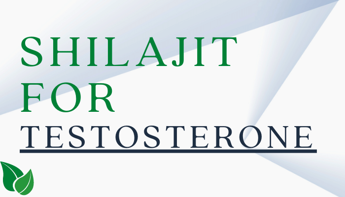 Best Shilajit For Testosterone 2022 | Boost Levels Naturally
