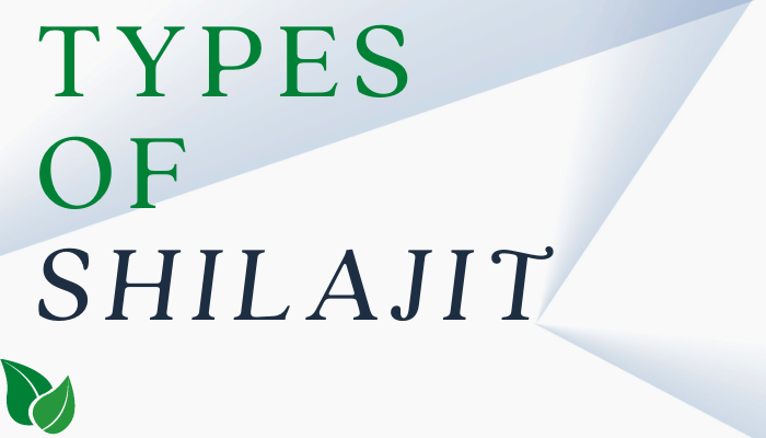 Types of Shilajit (Forms, Region, Benefits)