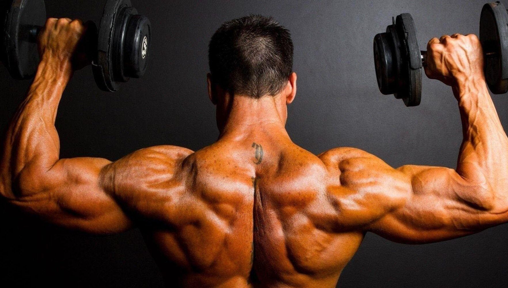 bodybuilding shilajit